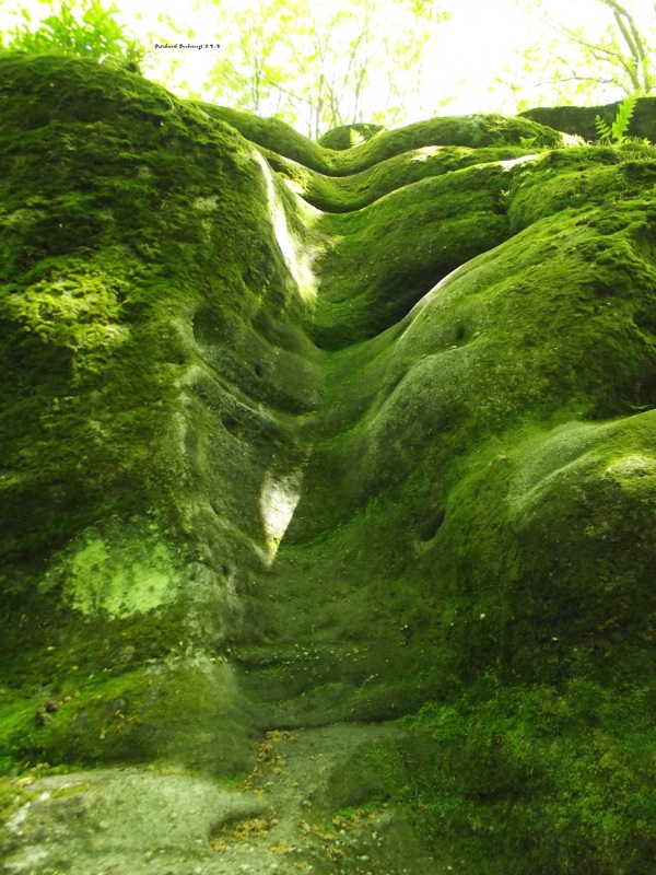 moss-covered-rock.jpg